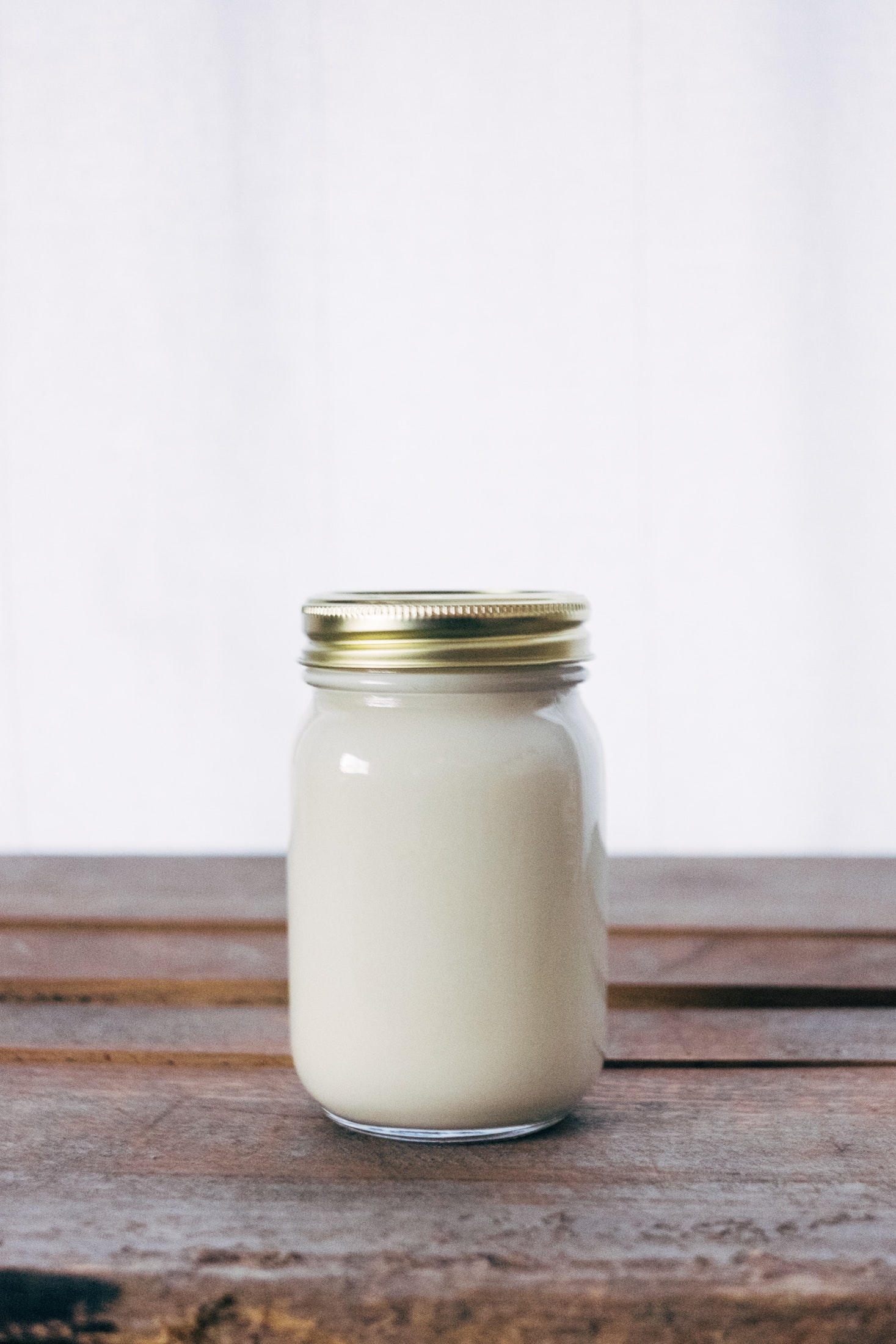cosa sono i fermenti lattici probiotici